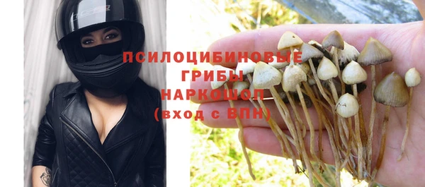 меф Белокуриха