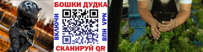 Каннабис индика Лабинск